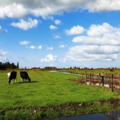 landelijk gebied