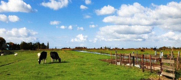landelijk gebied