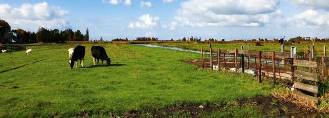 landelijk gebied.jpeg