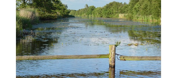 weerribben