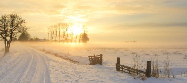 Sneeuwlandschap bijgesneden
