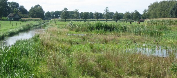 natuurlijke opvangebieden bij wateroverlast