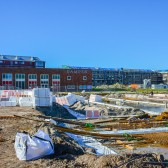 DSC_0516 (1).jpg